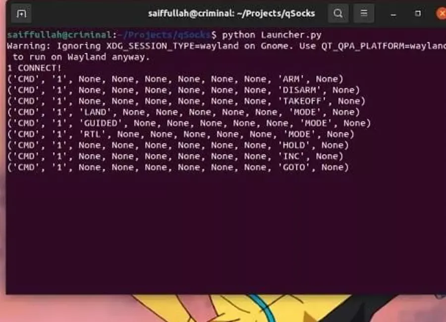 Simple socket connection demo