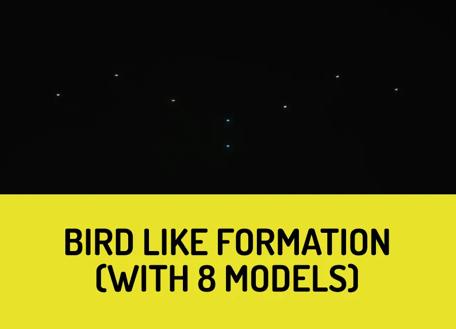 Bird-like formation with wing-flap motion